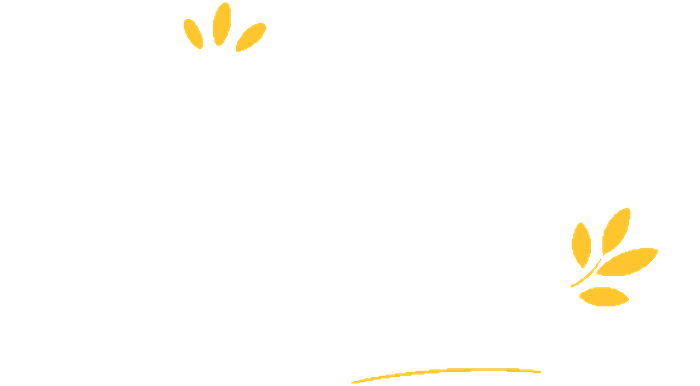 Kompare Koala